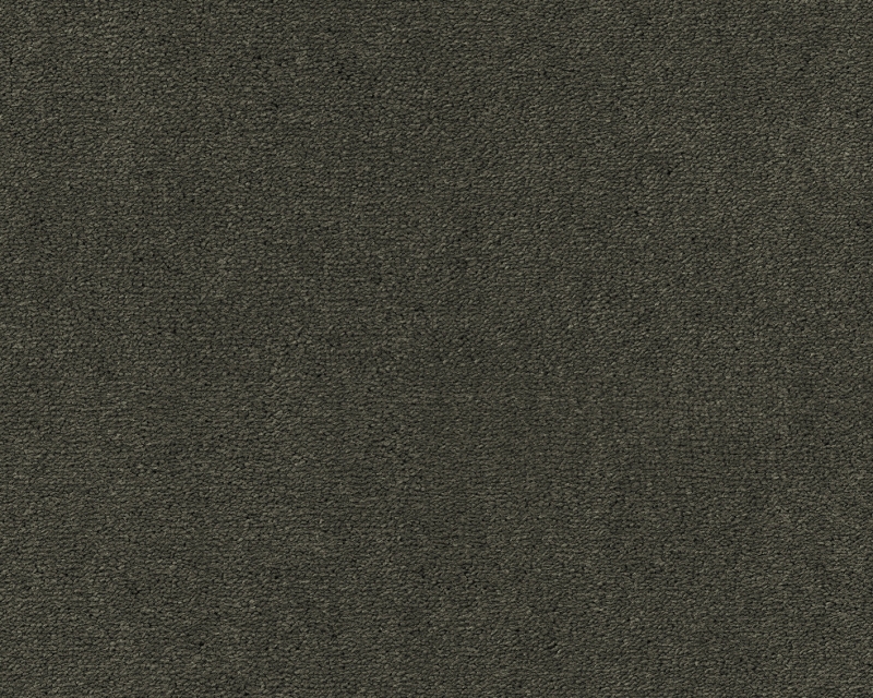 Celeste - 501 Oliv 1